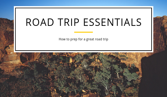Basic Road Trip Essentials